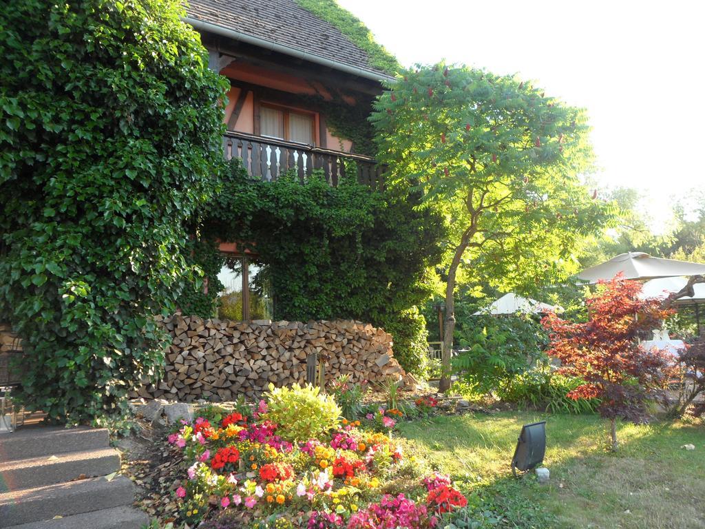 Hotel Restaurant Verger Des Chateaux, Route Des Vins Haut-Koenigsbourg Dieffenthal Exterior foto